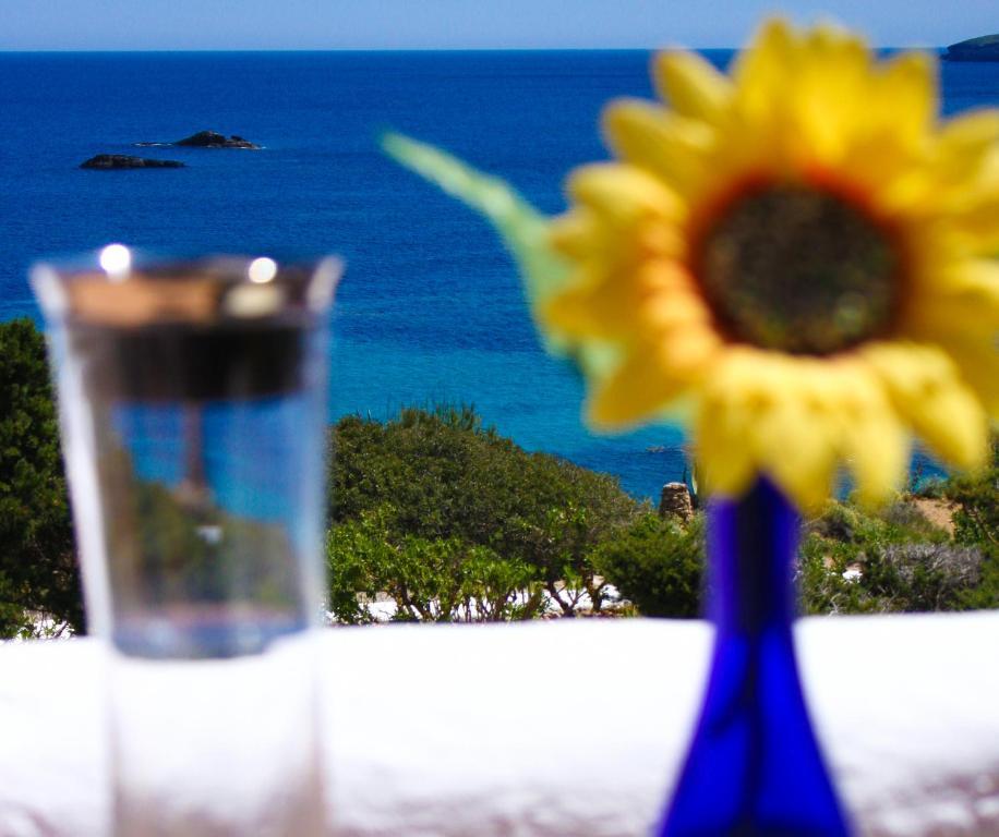 Arenal D'Or Apartamento Playa DPlaya Des Figueral Quarto foto