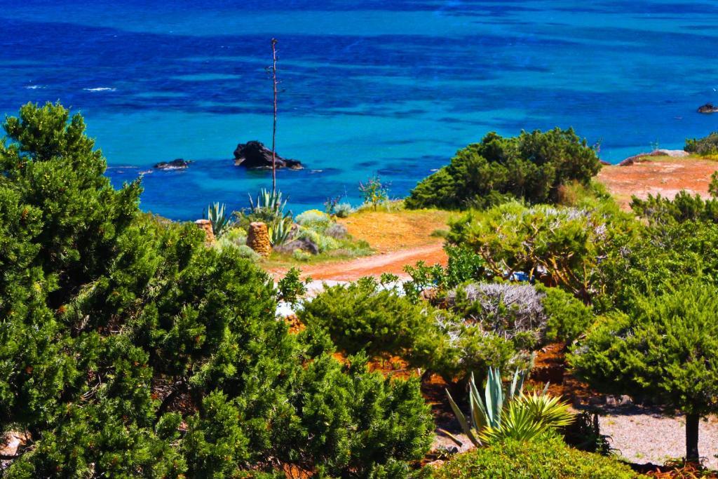 Arenal D'Or Apartamento Playa DPlaya Des Figueral Quarto foto